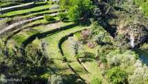 Terreno Rustico