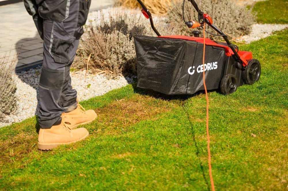 Cedrus We38 Wertykulator Do Trawy Areator 2W1 Aerator2 Wałki 1800W