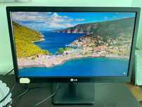LG 19M37, 18,5 дюймів