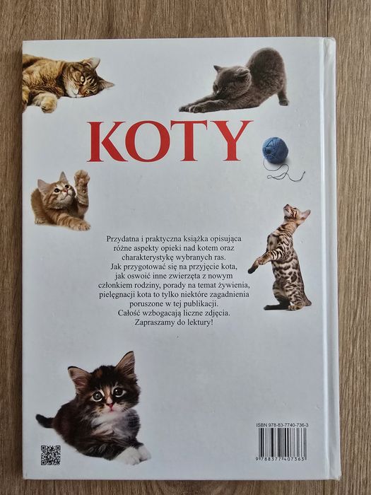 Koty. Nasi ulubieńcy - praca zbiorowa