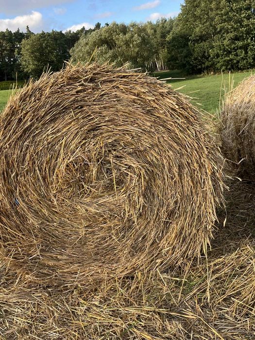 Sprzedam słomę z 29.08.2025