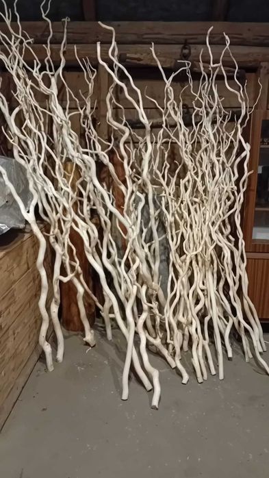 Ozdobne suche gałęzie kręcone wierzba mandżurska do 3m – dekoracje