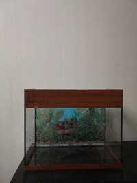 Продам акваріум з фільтром (Aquael «FAN-mikro Plus» до 30 л) б/у