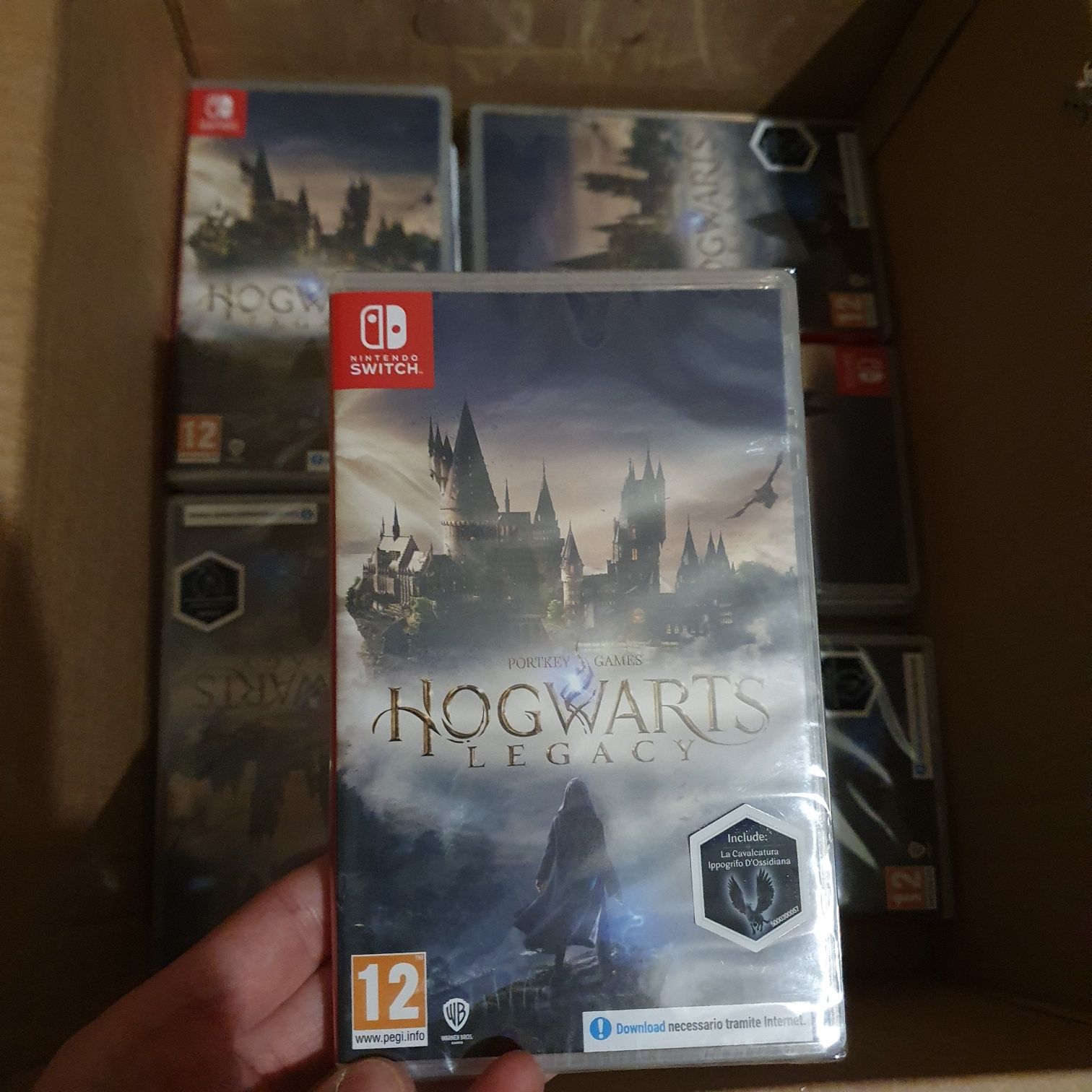 Hogwarts legacy nintendo switch