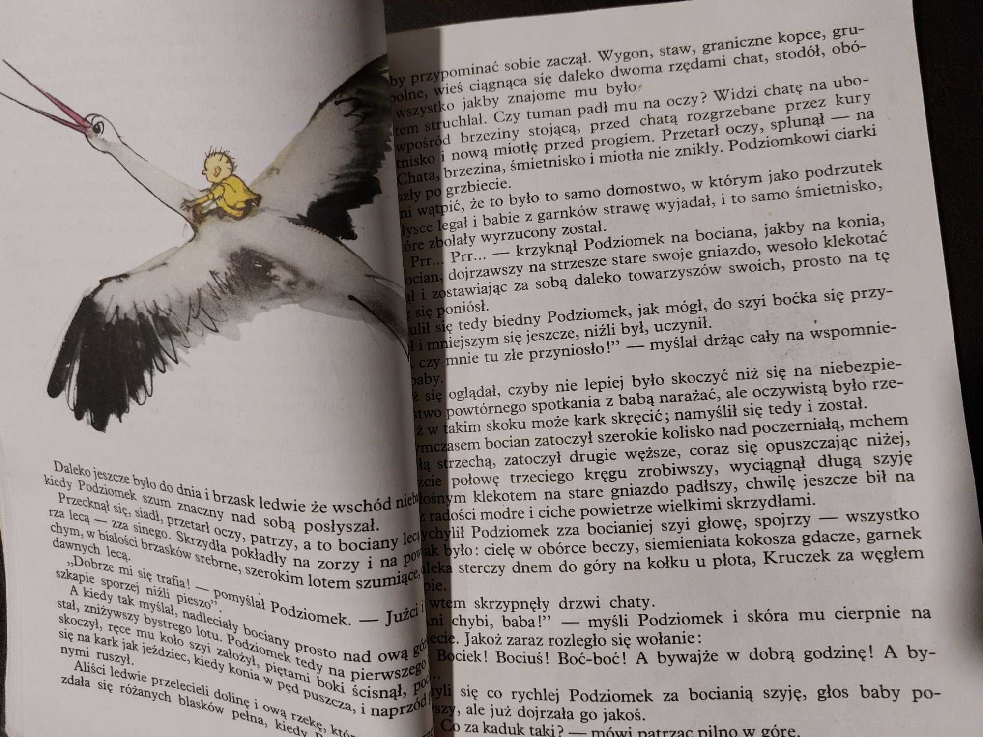 O krasnoludkach i sierotce Marysi Maria Konopnicka 1983