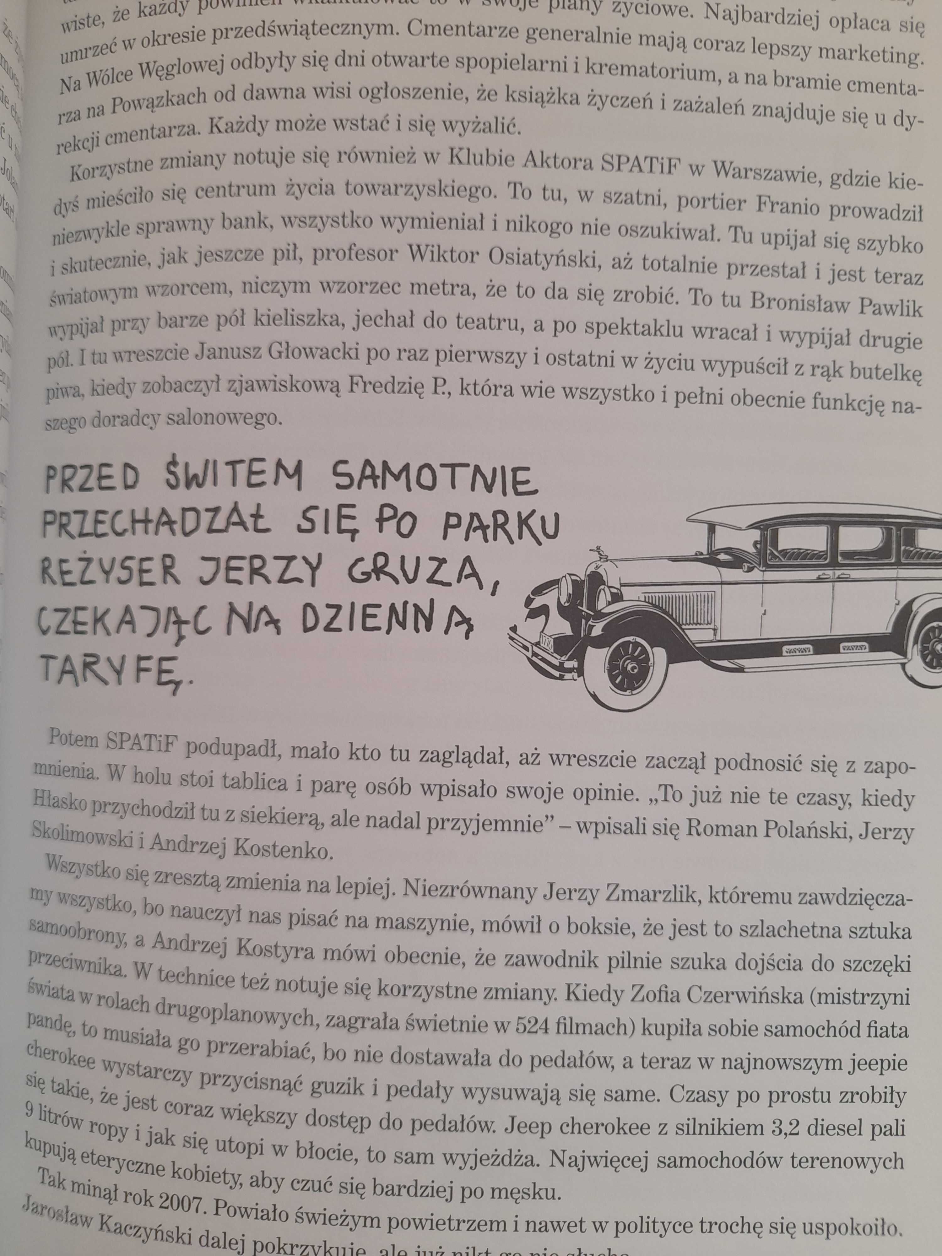 Kot w pralce Salony Jerzego Iwaszkiewicza
