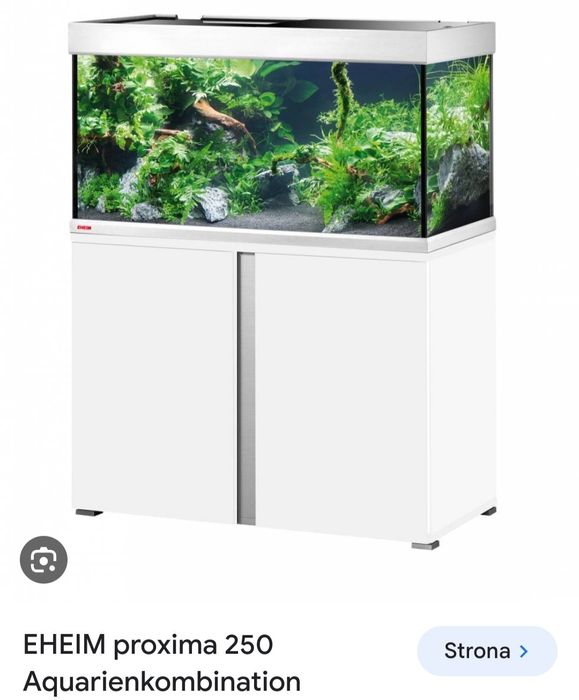 Akwarium eheim proximo 250