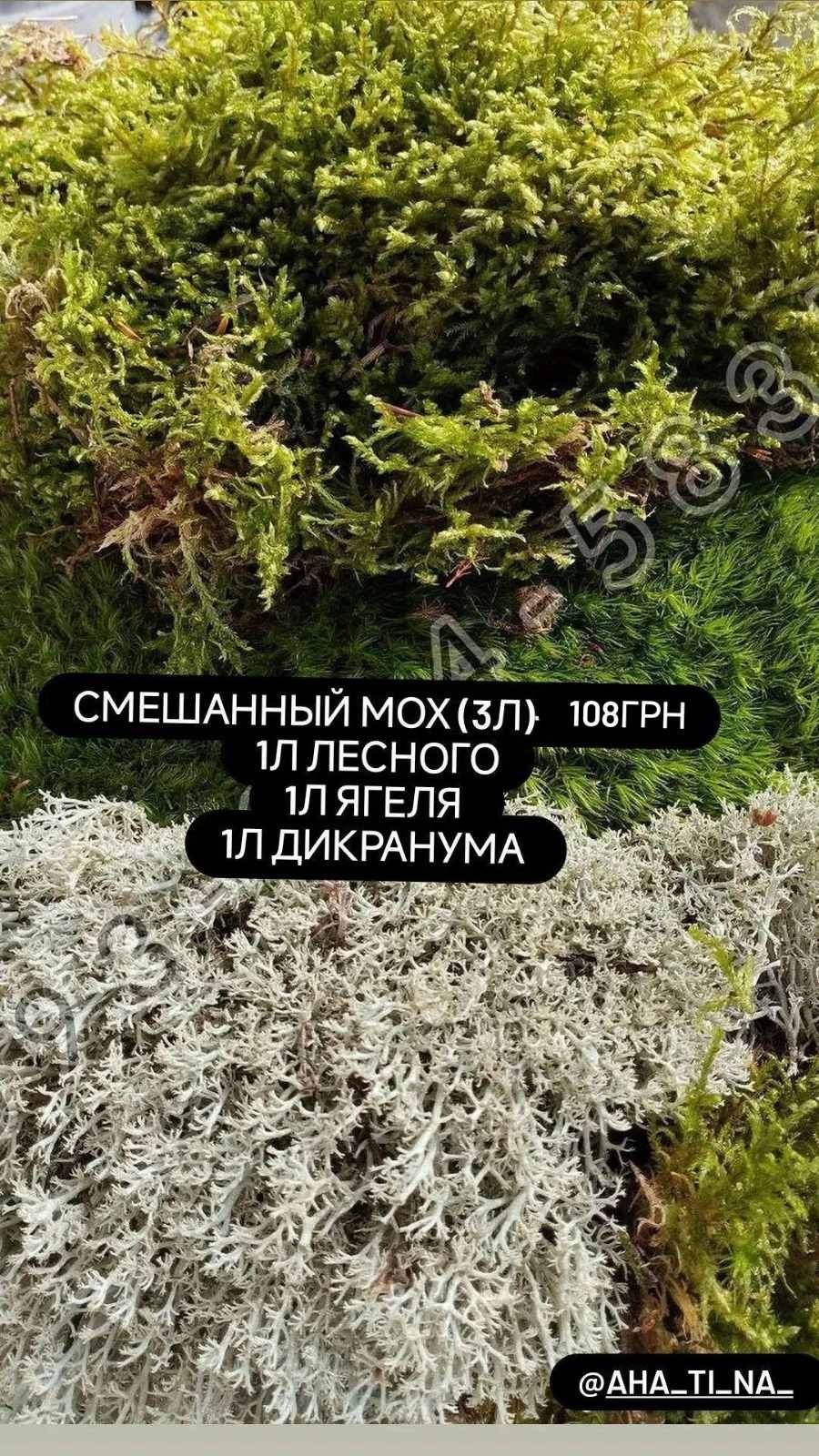 кокосовый грунт/субстрат для улиток,рептилий,растений