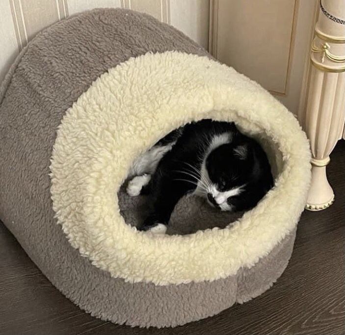 Тепла хутряна хатинка будиночок домик для котика собачки