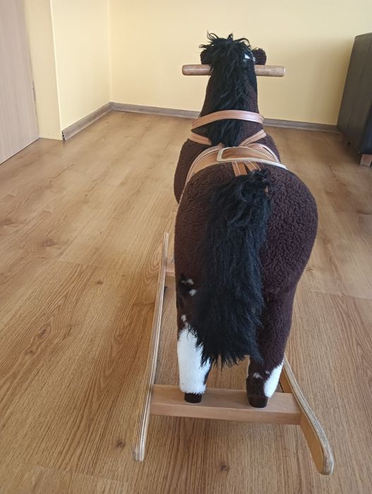 Konik na biegunach. Wyłącznie odbiór osobisty.