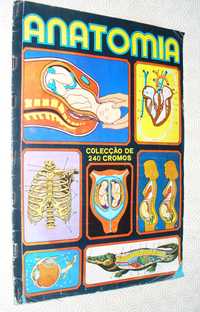 Anatomia - Francisco Más - coleção completa