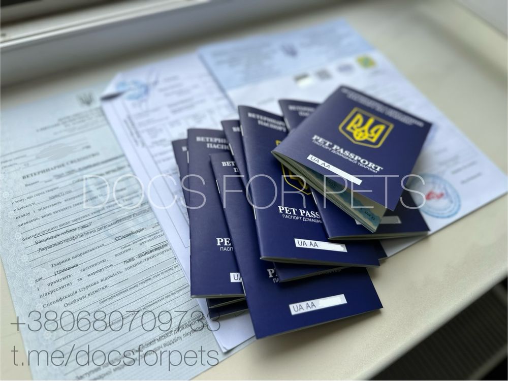 Паспорт для кота собаки документи для тварин титр чіп сертифікат Ф-1