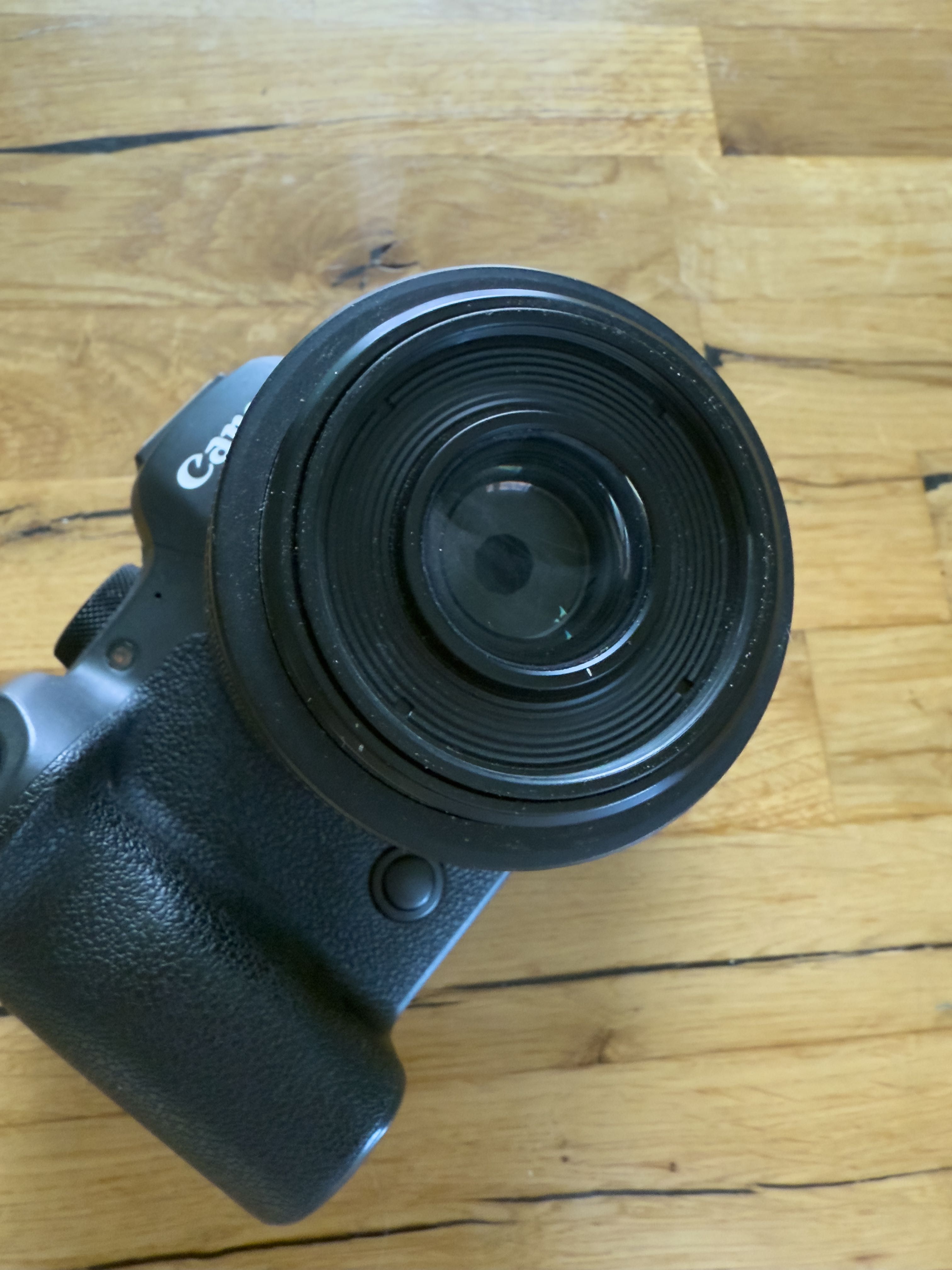 canon eos R6 mk2 + RF 35mm f/1.8 macro
