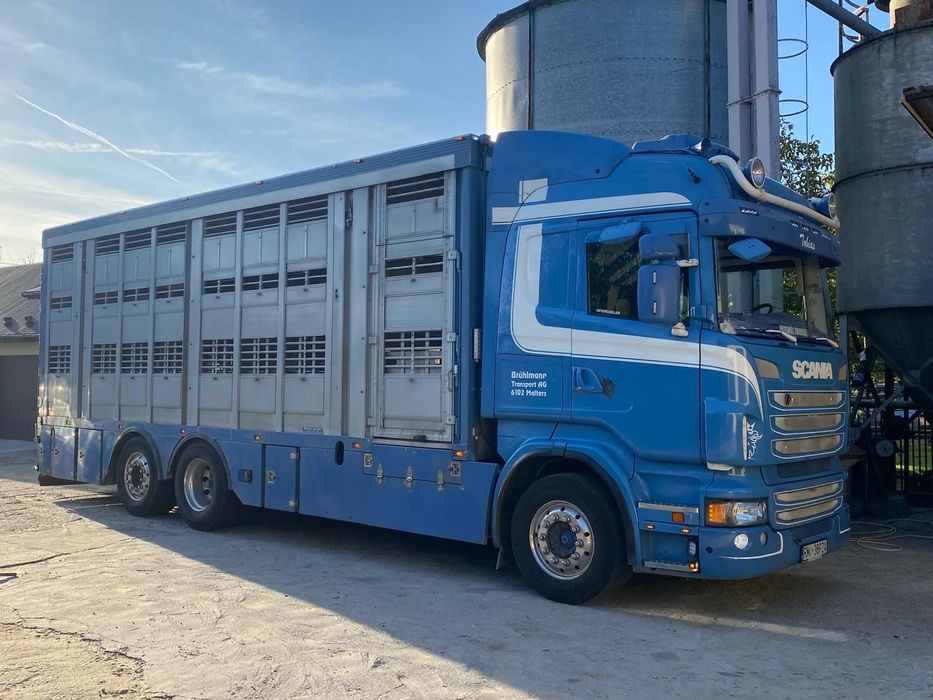 Scania V8  Samochód do przewozu zwierząt- V8