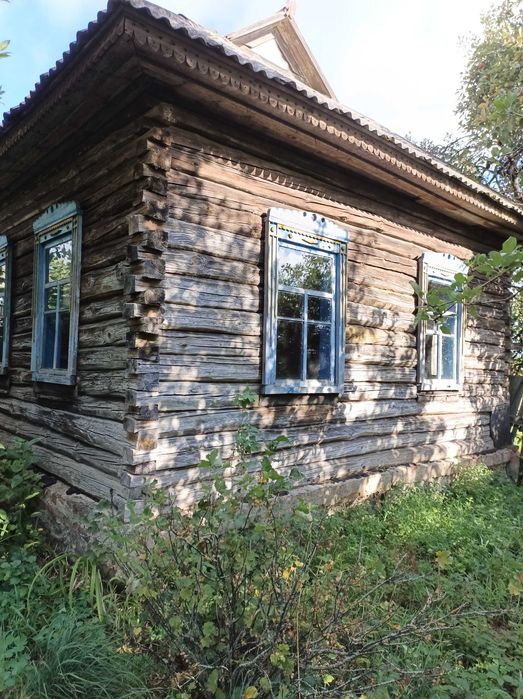 Будинок у селі Ведильці