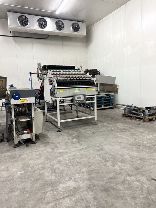 Linia do pakowania w torebki sorma sortownica