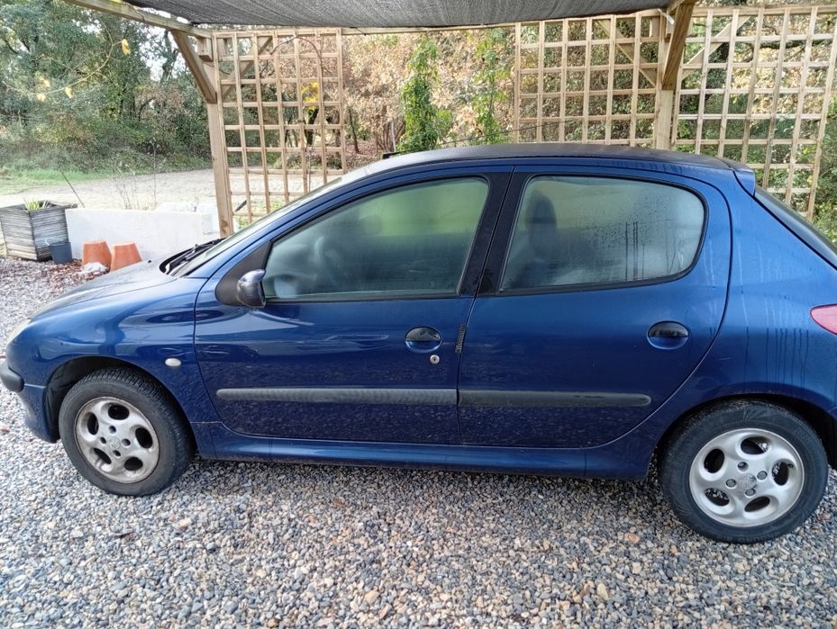 Peugeot 206 azul