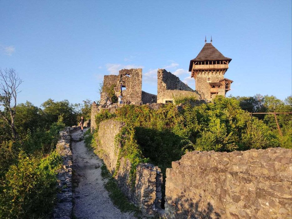 Здається Дім(дача) біля лісу та озера для житла і вдаленої роботи