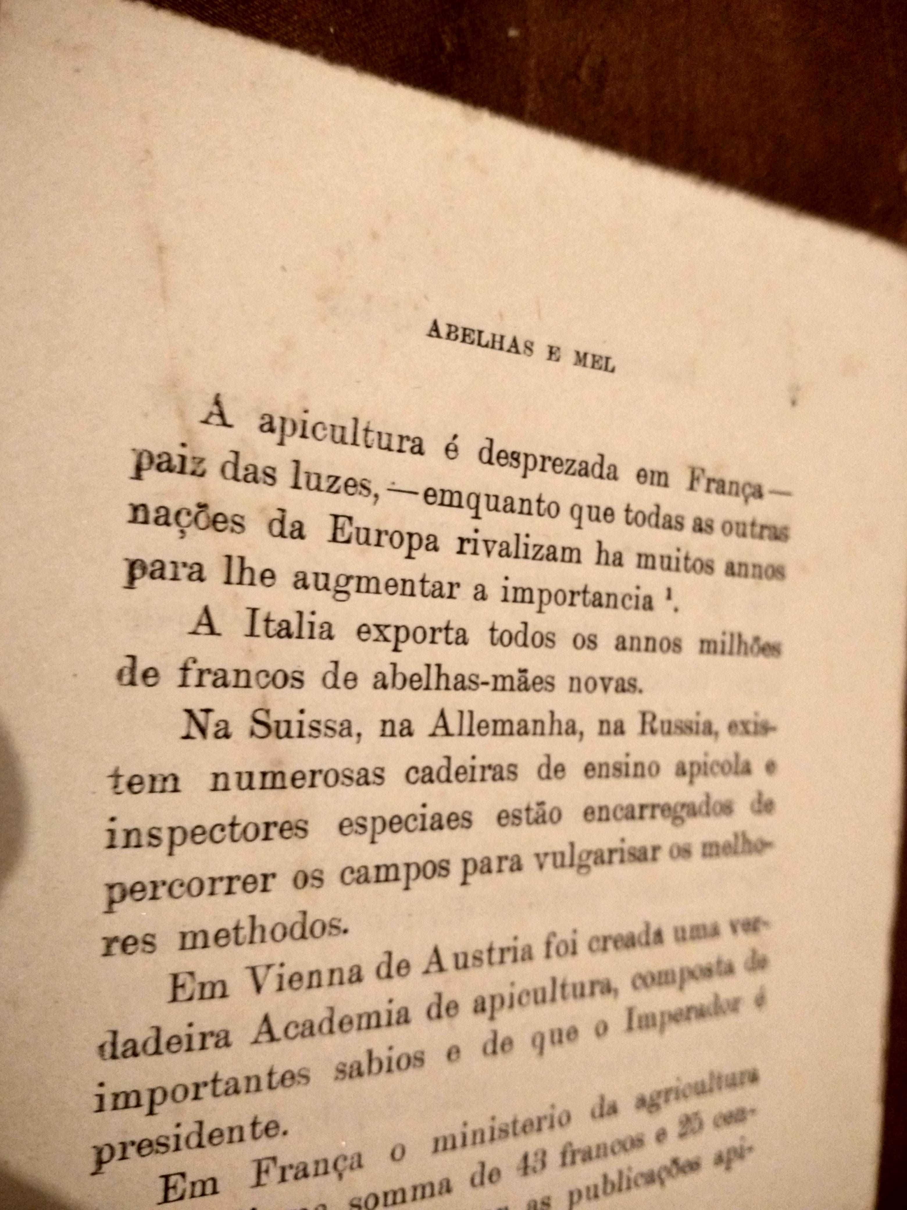 Abelhas e mel, de Clement e Iches (edição de 1923)