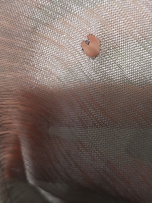 Гардина органза.