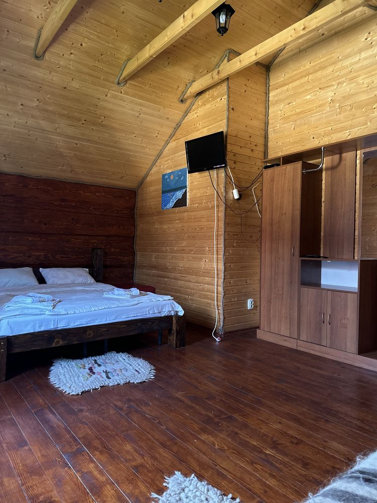 Котеджі в карпатах, відпочинок в карпатах, Шешори, котедж з басейном,