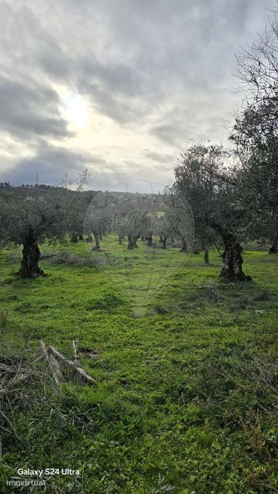 Terreno  para venda