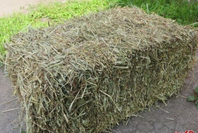 Siano w kostkach okazja transport
