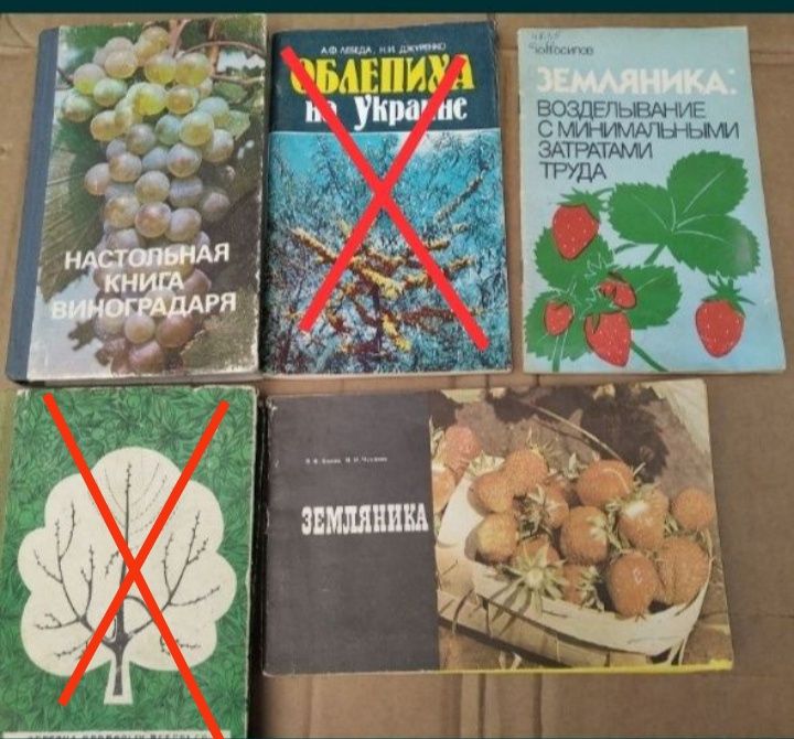 настольная книга виноградаря; суниця