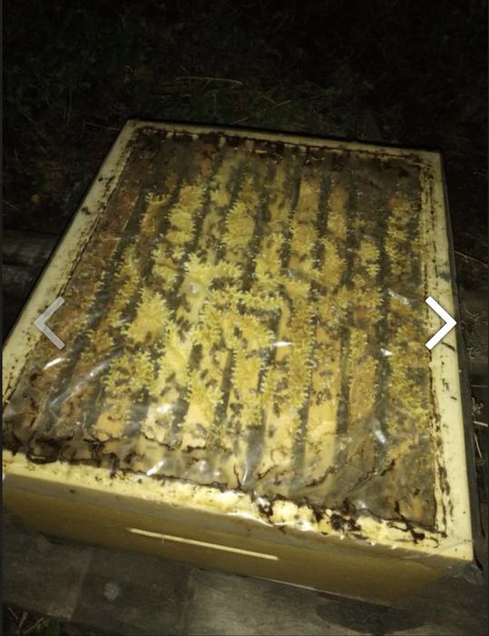 Металева прес форма для виготовдення вуликів, корпус 230