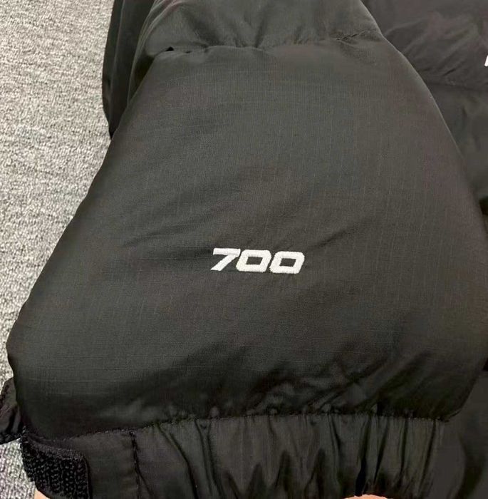 Kurtka zimowa_The_North_Face_700_1996_ASIAM