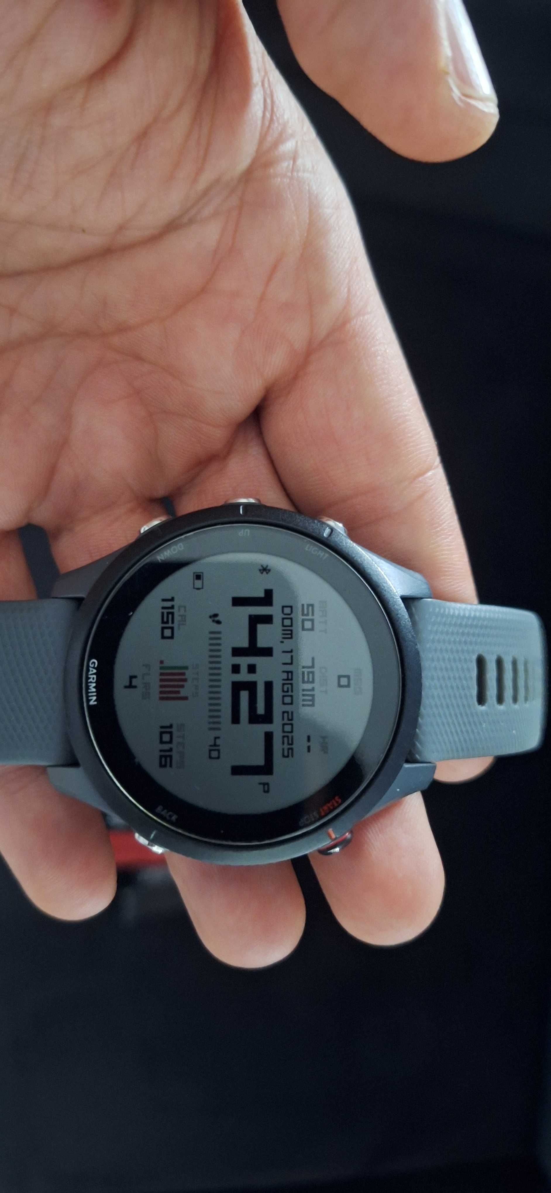 Garmin Forerunner 255