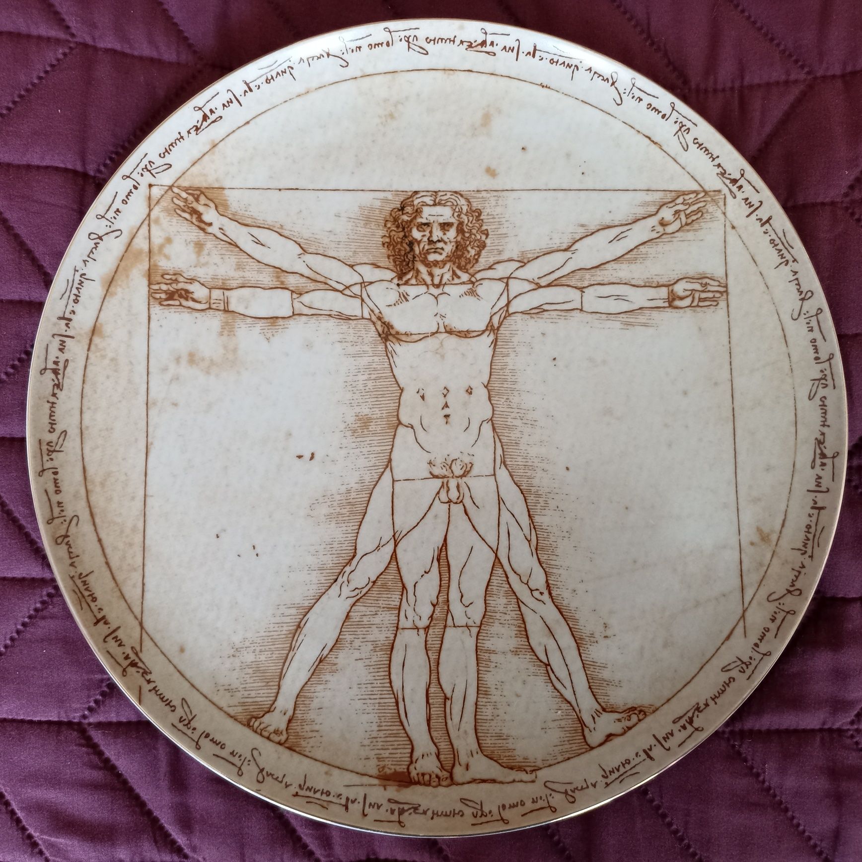 Prato grande SPAL edição limitada Homem Vitruviano Leonardo da Vinci