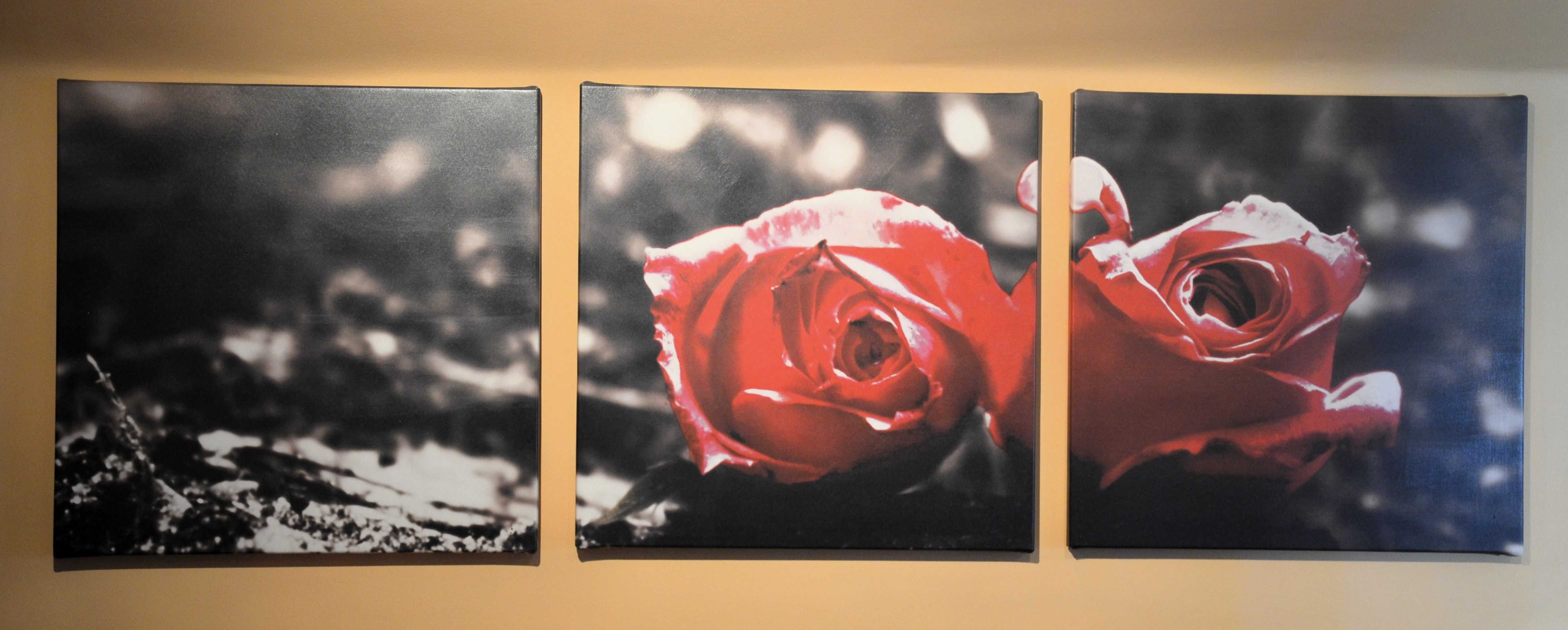 Unikalny Foto - Obraz - Róże na płótnie, 50 x 50 cm 3 szt.