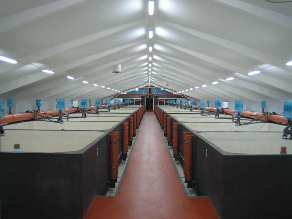 Комерційне приміщення: ангар, цех, ферма, виробництво, рибозавод.