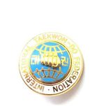 Taekwondo Federation International OFFICIAL 1980s Dome Raised VTG