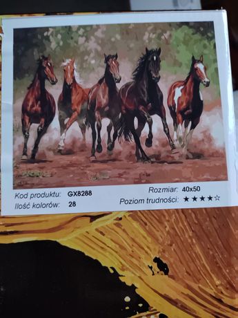 Malowanie po numerach 40x50 konie