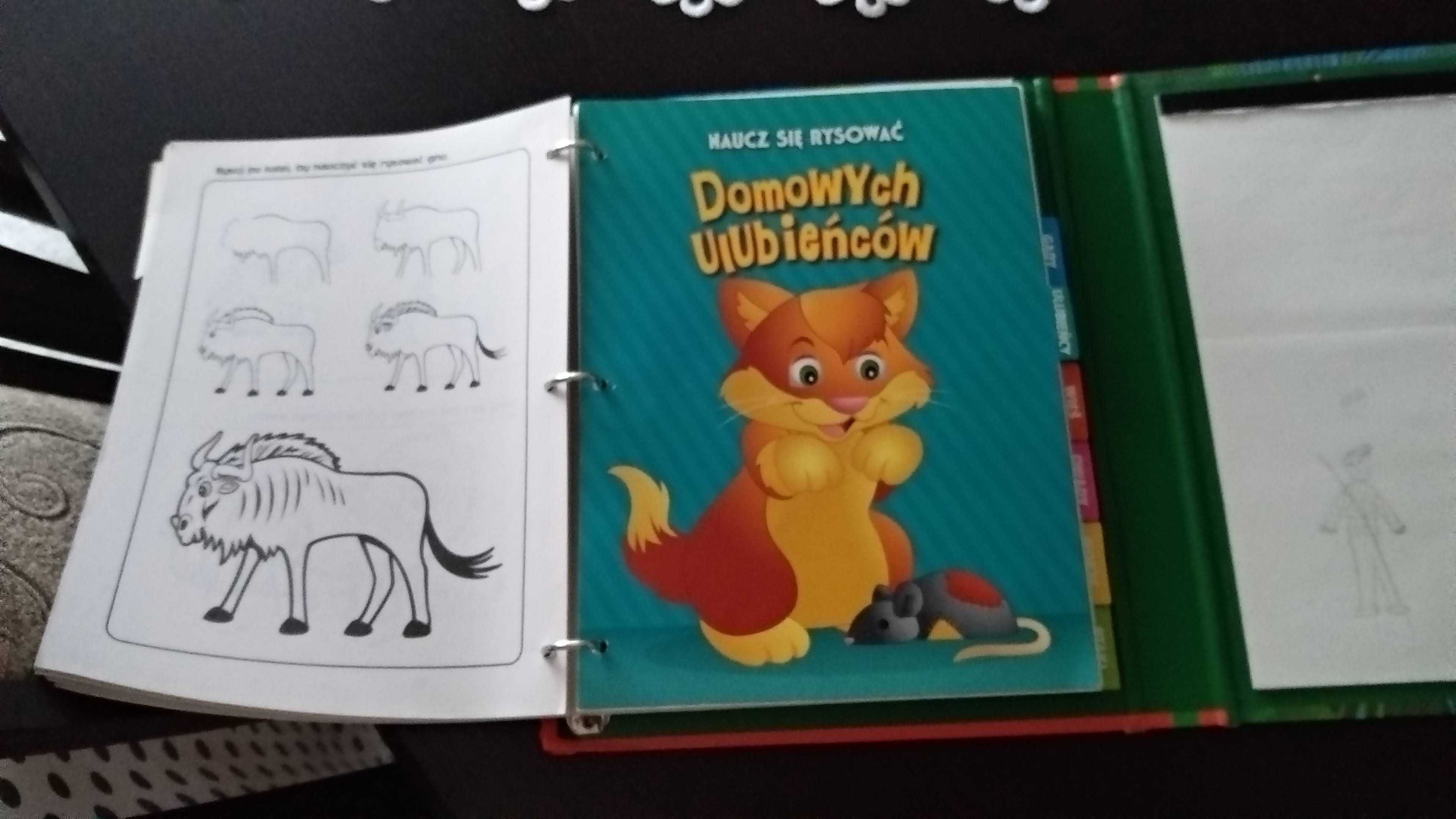 Jak rysować zwierzęta. Zabawne rysunki dla dzieci w każdym wieku