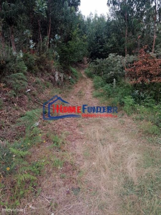 Terrenos com aprox. 2.490 m2 - Monção
