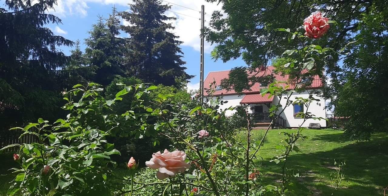 Agroturystyka nad Jeziorem Otmuchowskim