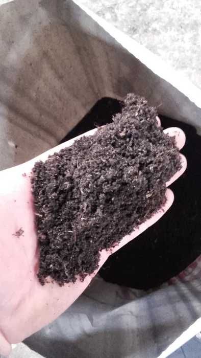 Ziemia Kompostowa Do Warzyw Najwyższa Jakość Luzem