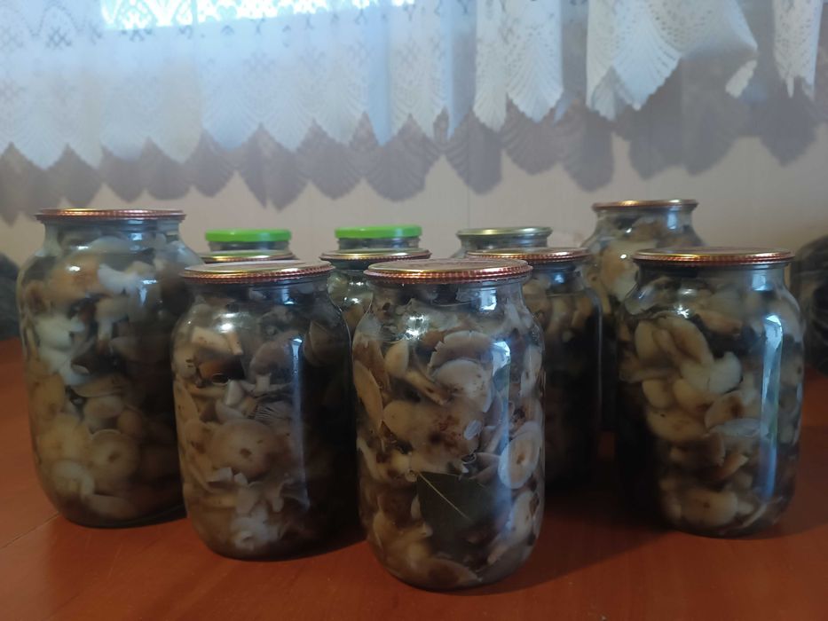 Опеньки Мариновані.