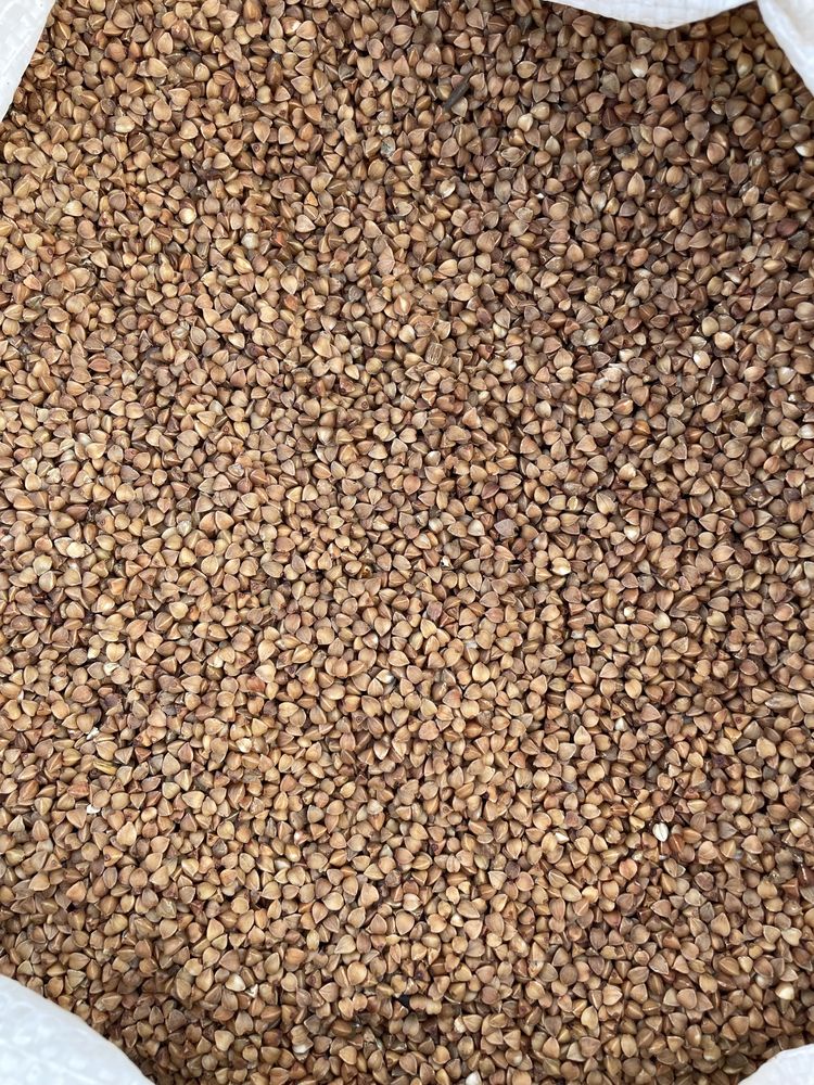 Продам гречку, дуже смачна і корисна