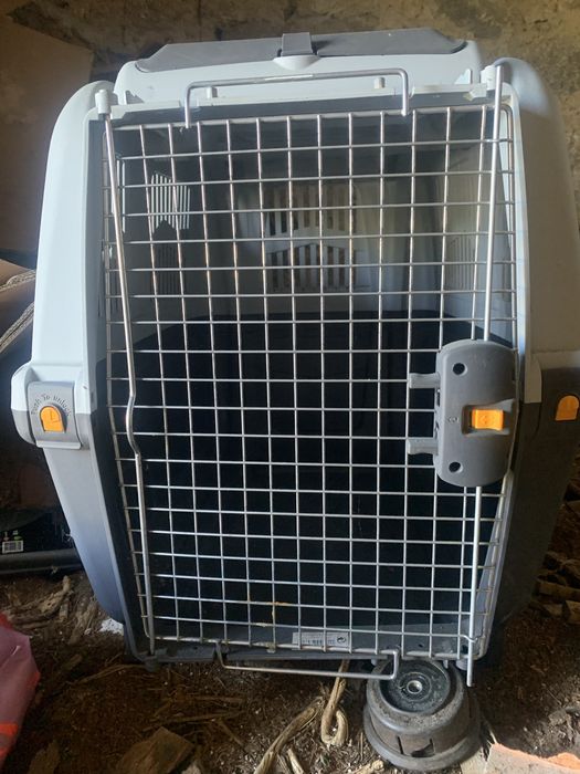 Box de transportar caes