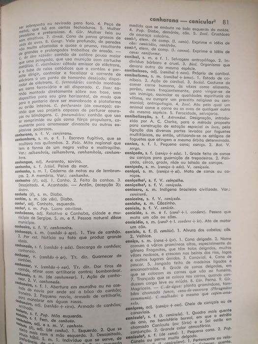 Dicionário universal da língua portuguesa ilustrado