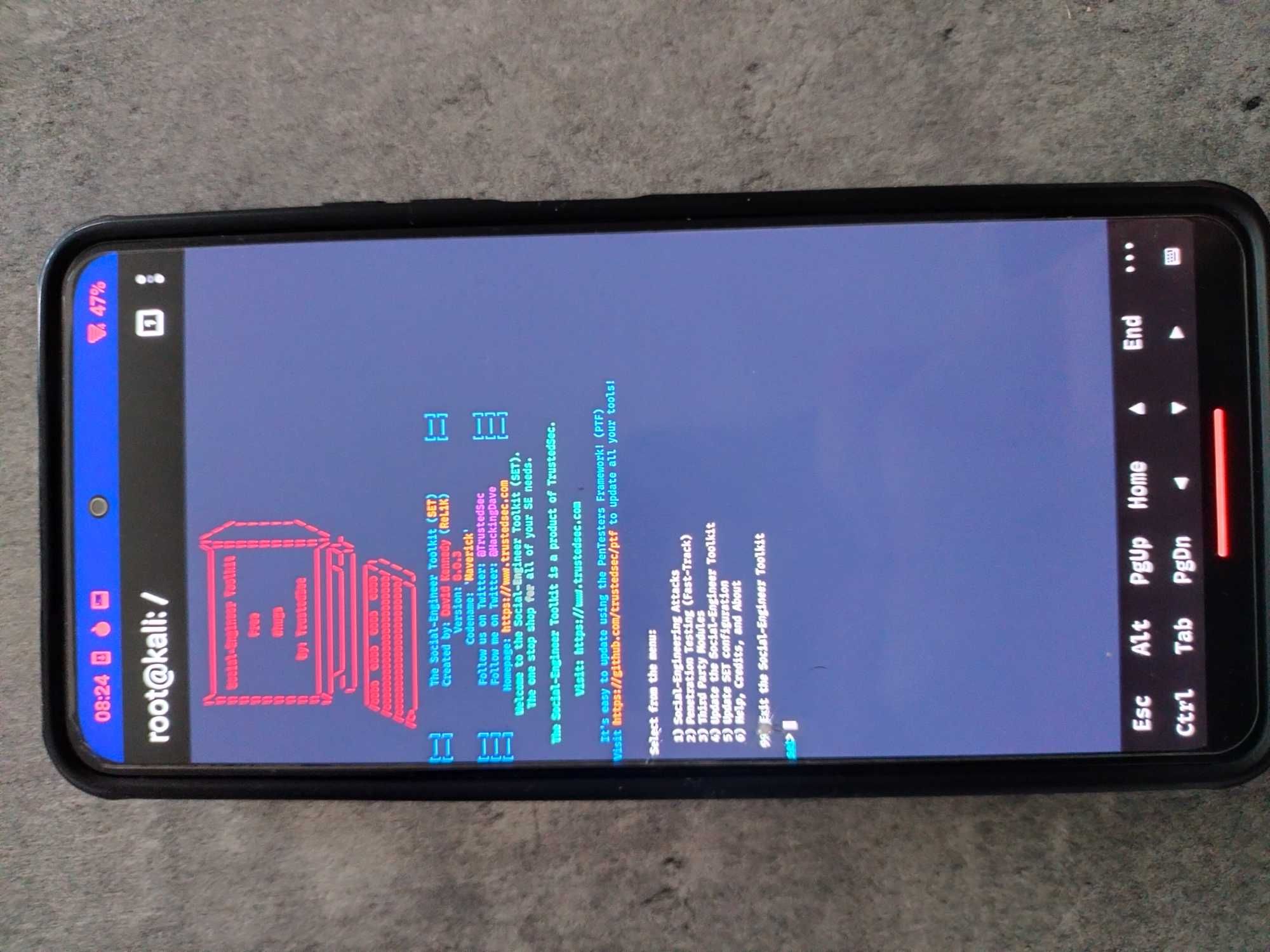 Xiaomi Poco F3 6/128 GB Kali Nethunter