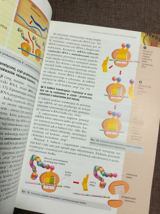 Biologia 2 podręcznik