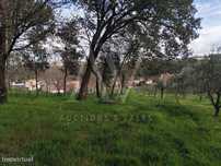 Terreno para construção com área de 2.541 m² - Parceiros, Leiria