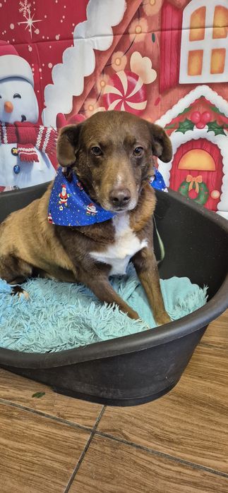 Piasek około siedem lat