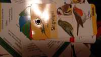 школа обучающие биология карточки птицы круговые немецкий язык