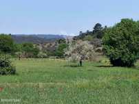Terreno rústico, Arneiro das Milhariças